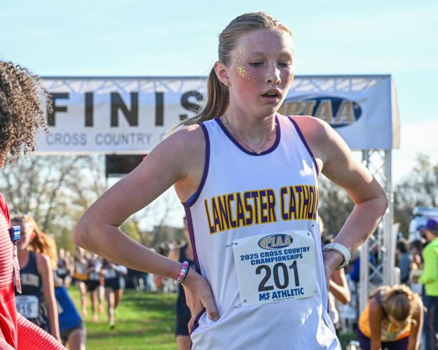 2025 PIAA cross country championships [photos] | High School Cross ...