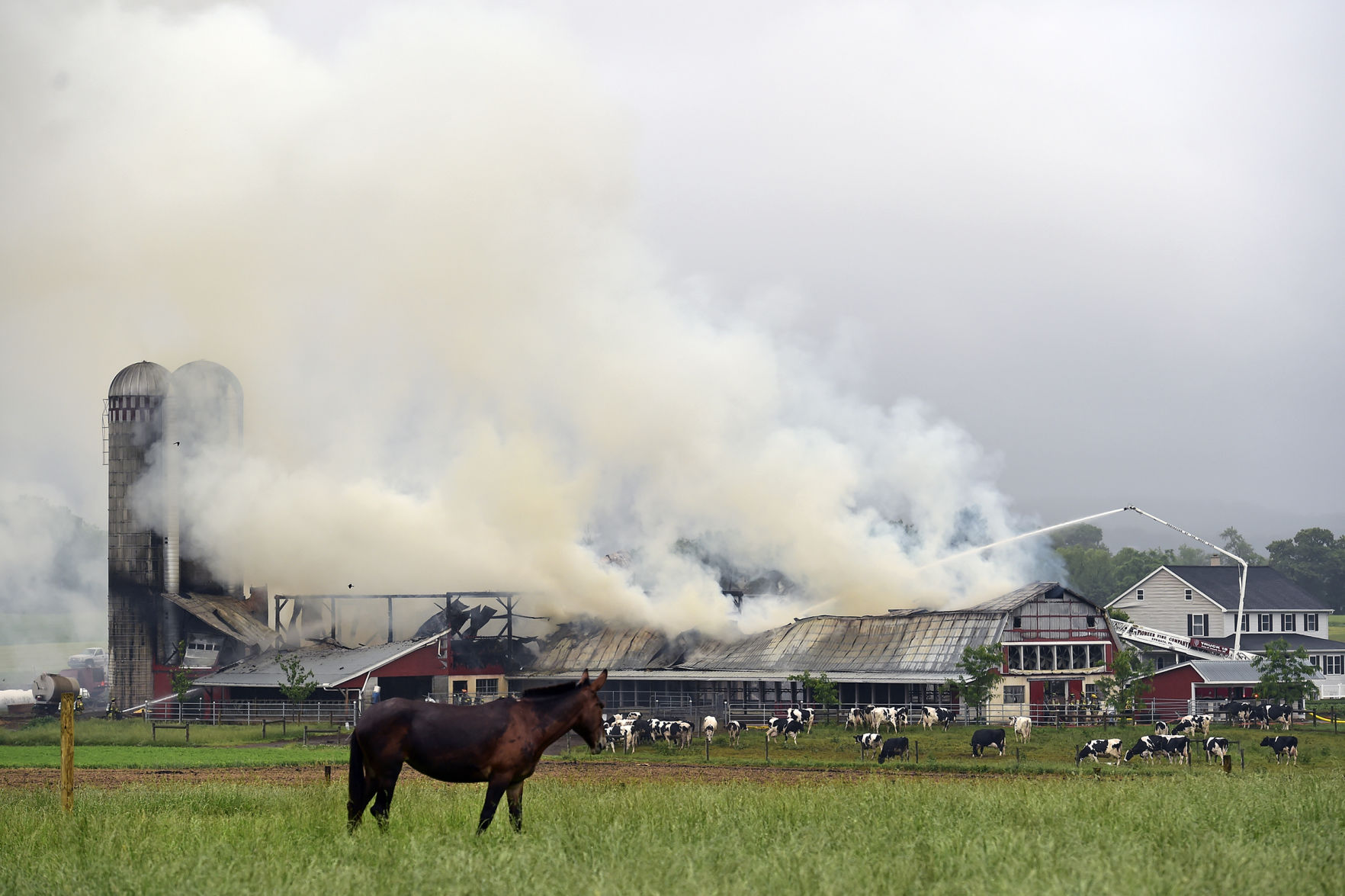 Clay Township Dairy Barn Fire Causes $350K Damage | Local News ...