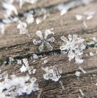 Flurries abound: LNP | LancasterOnline readers submit snow photos [gallery]