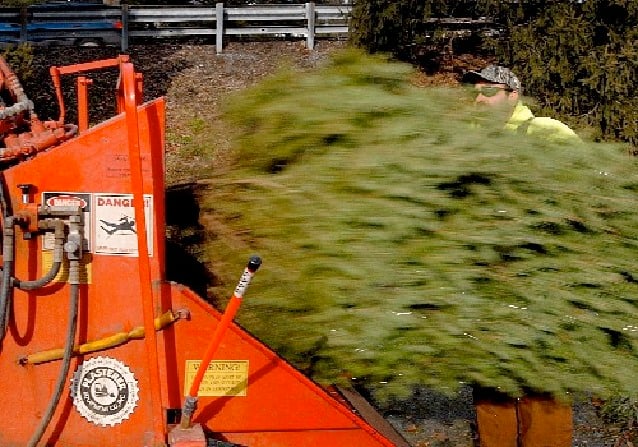 Here's where you can recycle your Christmas tree in Lancaster County ...