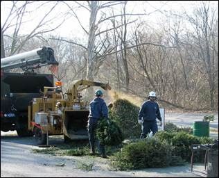 Free Christmas tree recycling center open in Lancaster County Central ...