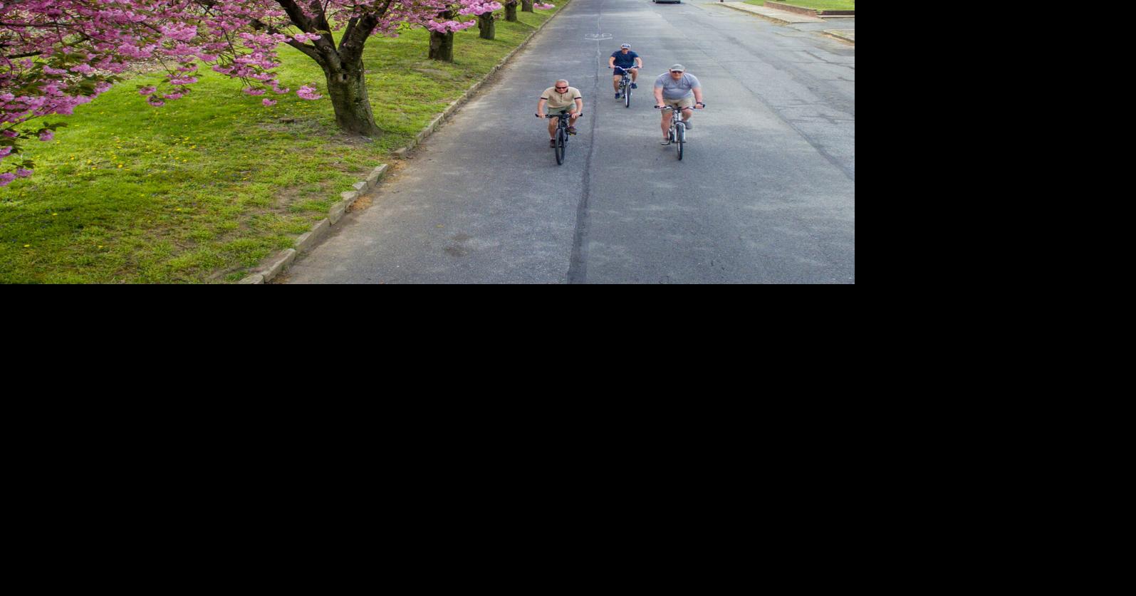 Cherry Blossoms in Marietta Local News
