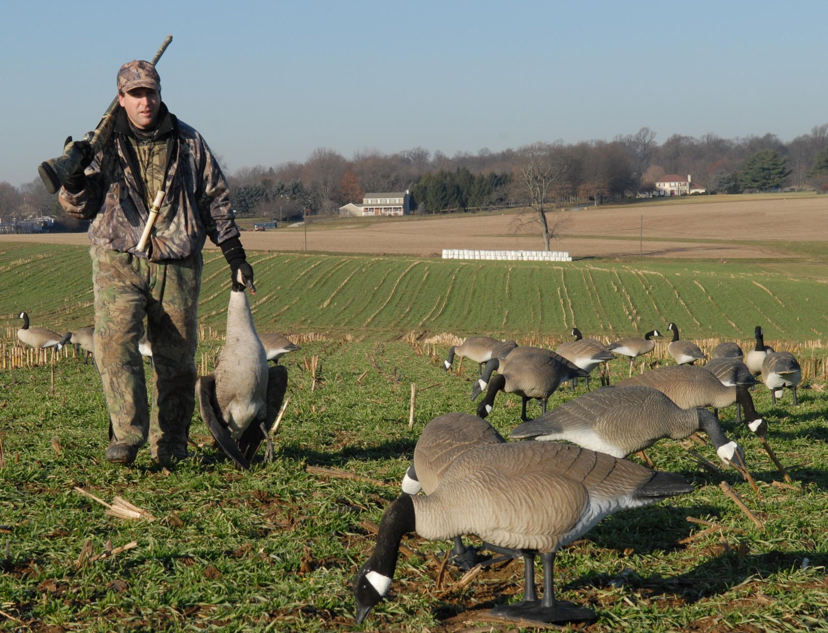 Canada goose discount season pa