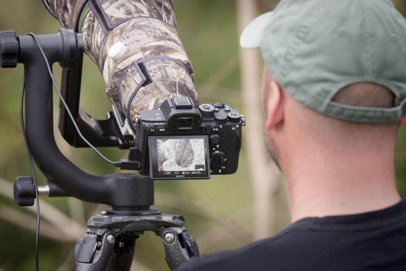 Young owl taken from Mount Joy nest leads to anger, concern among