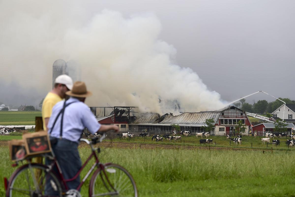 Clay Township dairy barn fire causes 350K damage Local News