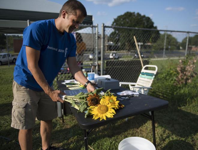 Wheatland Community Sunflower Garden [photos]