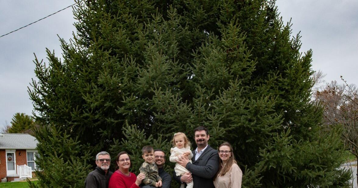 Lancaster city's 2025 Christmas tree started as a 4-inch Earth Day seedling grown in Millersville Nov 20, 2025