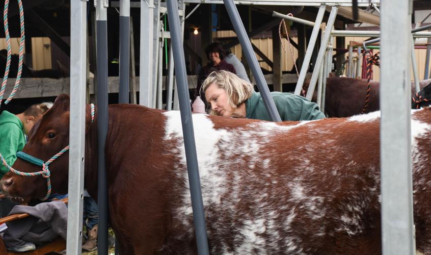 Families enjoy farm fun at West Lampeter Community Fair [photos