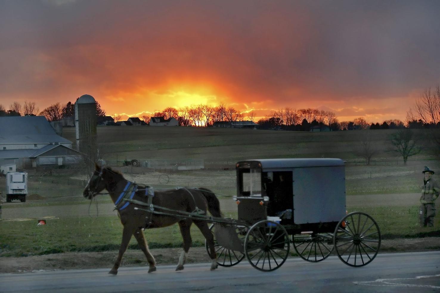 Horse and buggies ought to be licensed, like other vehicles on