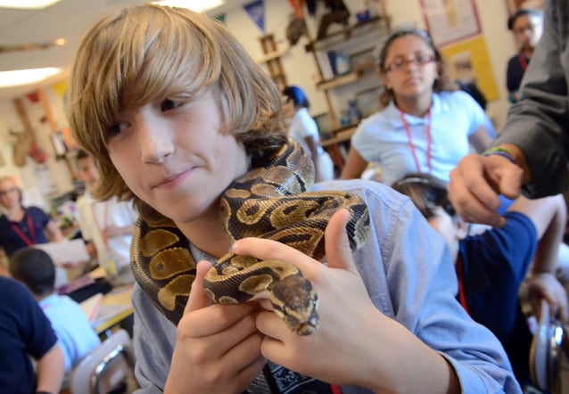 World's cutest python  Snake hair, Hair pieces, Cool hairstyles