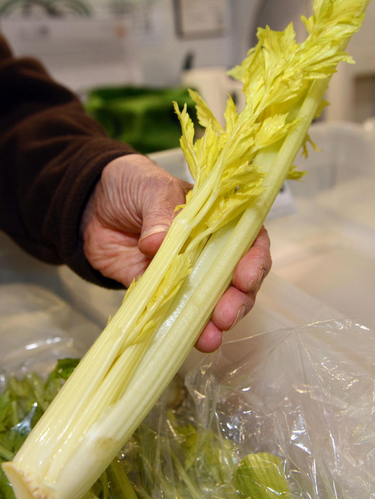 Q&A Market's Celery Man offers tips for clean, crisp stalks Food