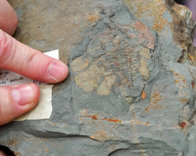 fossils072422-18.jpg