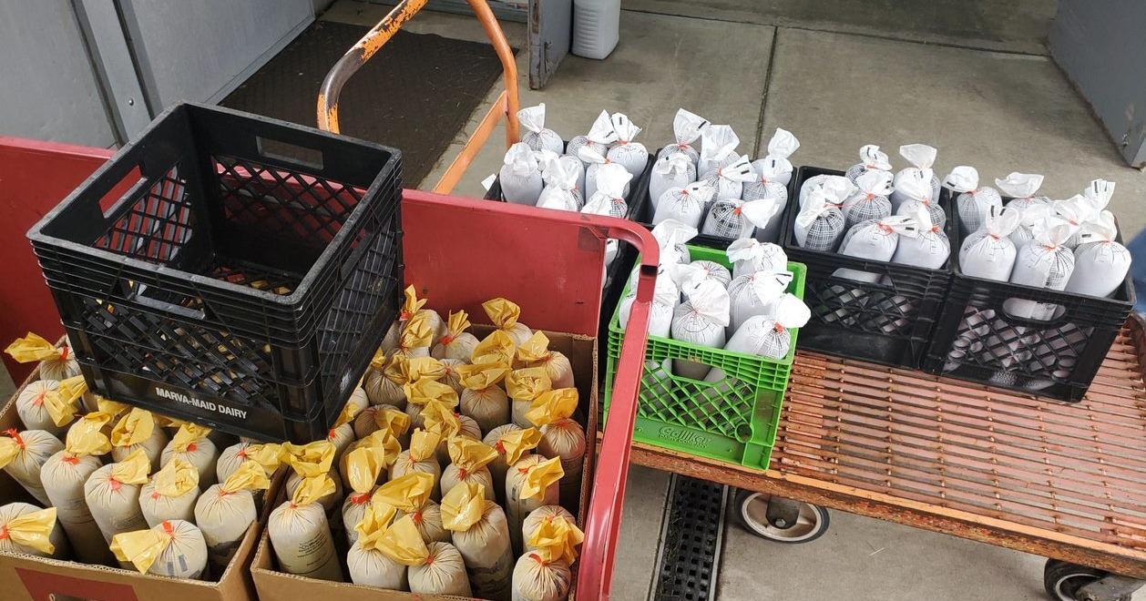 Here’s how to donate your deer through Hunters Sharing the Harvest