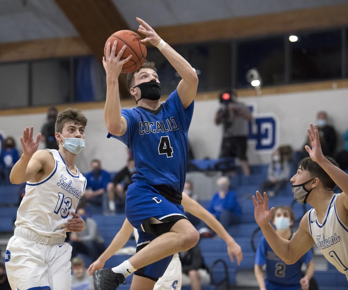 Cocalico vs Lower DauphinDistrict 3 Boys Basketball Championship