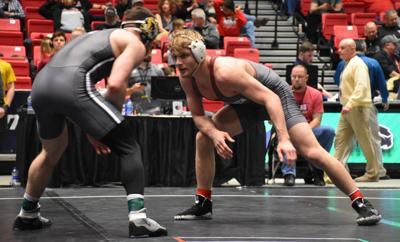 Wrestling management game Wrestling management game