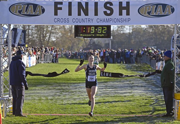 3 LL League runners earn state medals at PIAA cross country