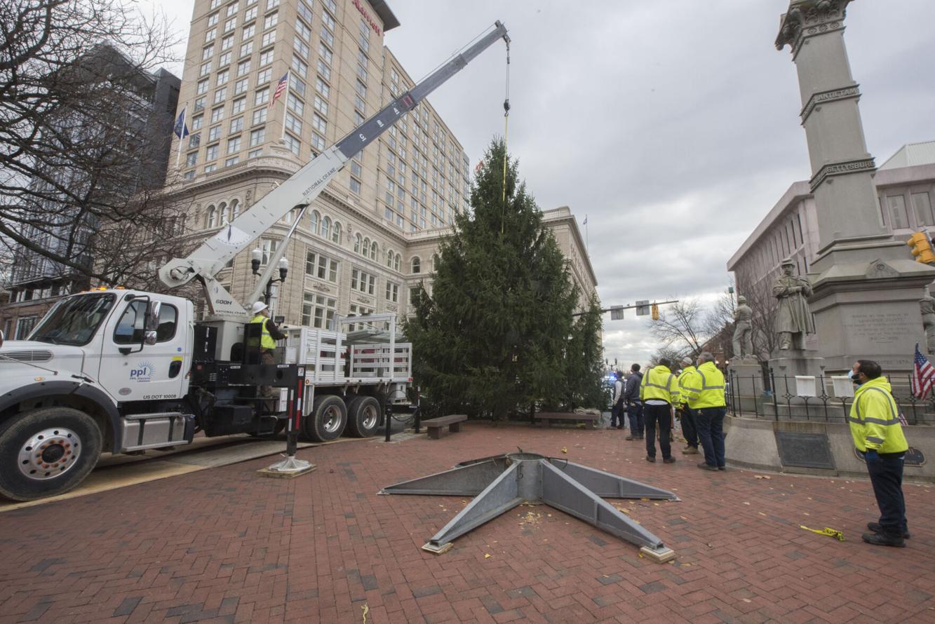 City Christmas Tree | | lancasteronline.com