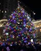 Wanted: a tall evergreen for Lancaster's 2024 Christmas tree