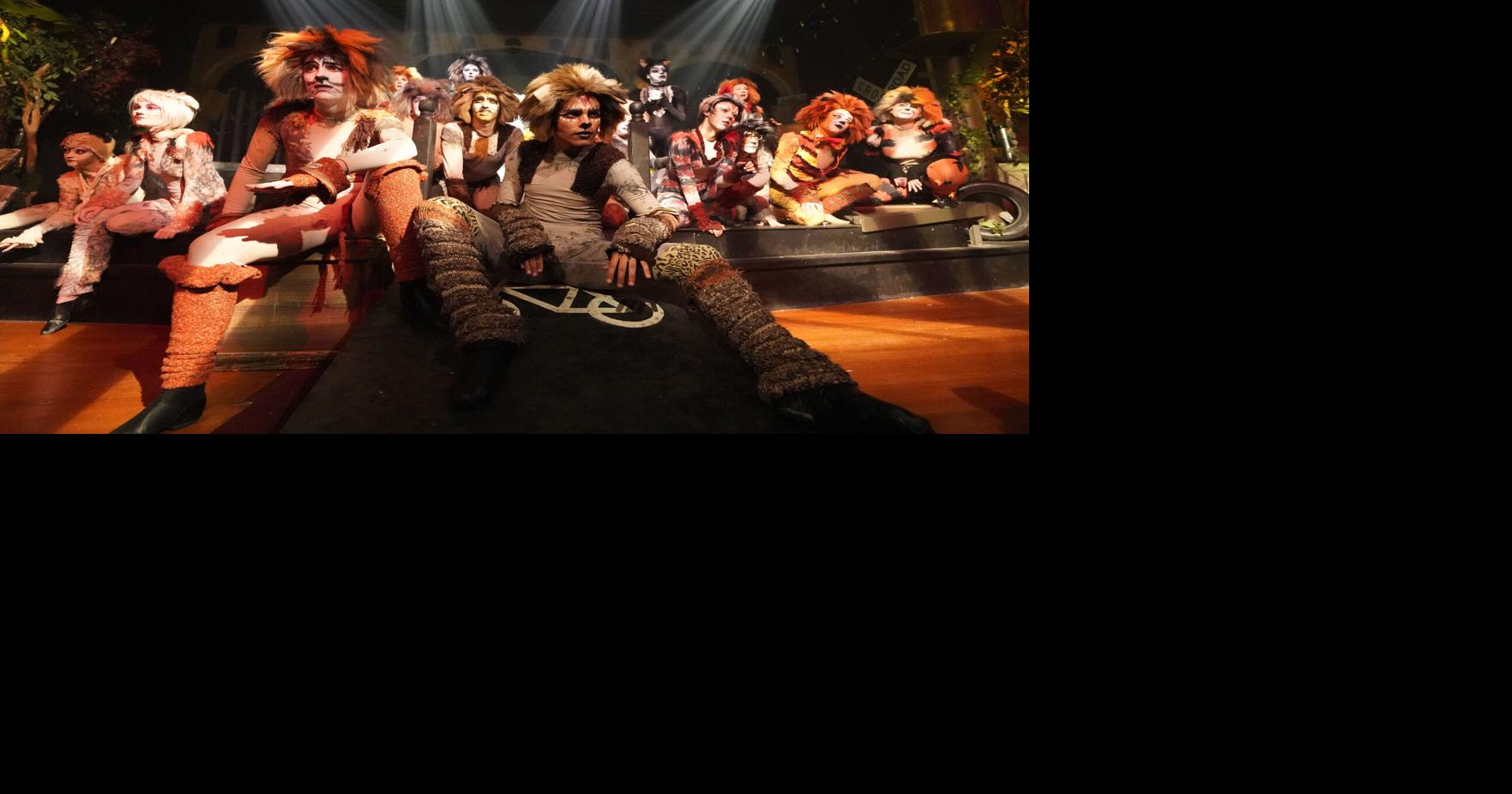 'Cats' at Susquehanna Stage