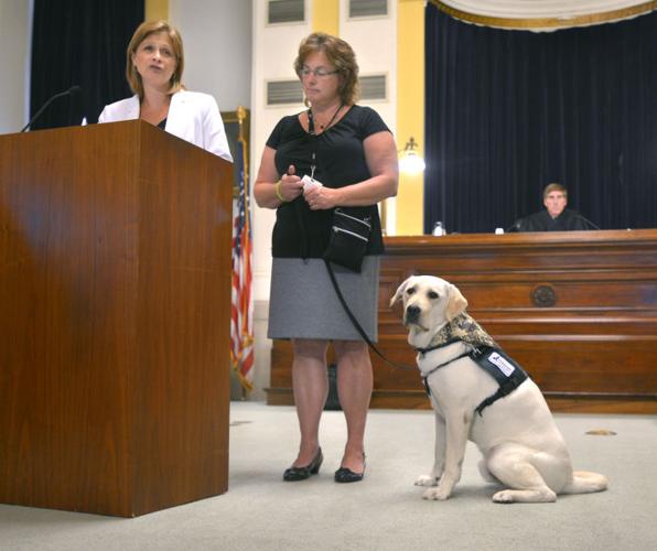 are service dogs allowed in courthouses