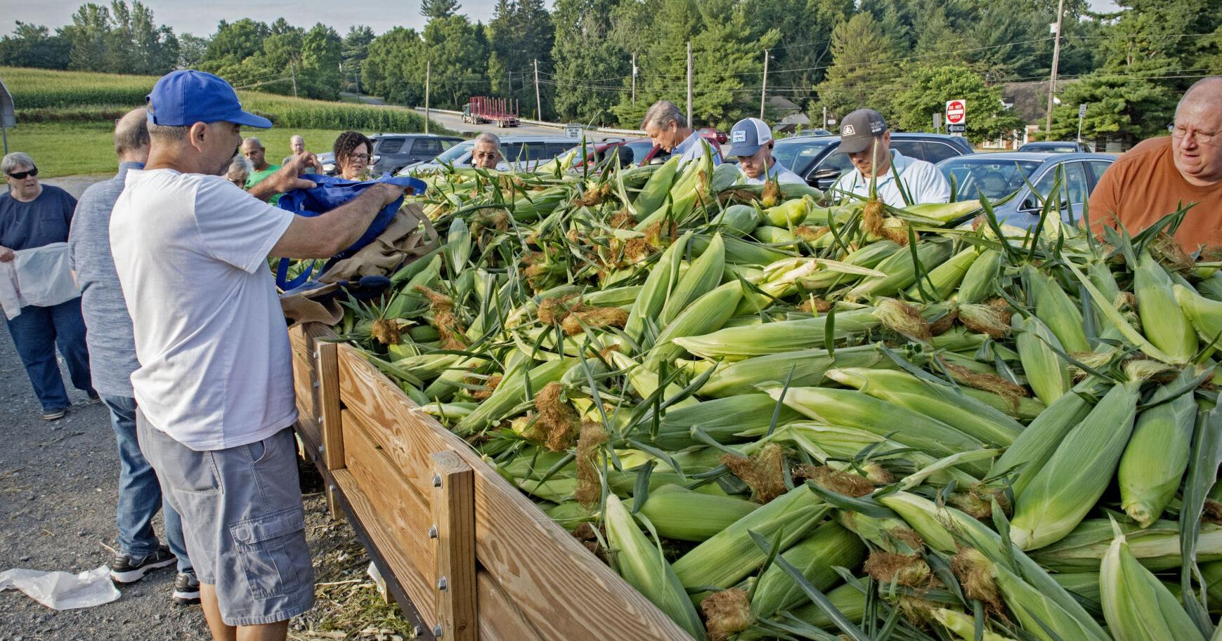 The Corn Wagon is back for the 2023 sweet corn season - Vimarsana News