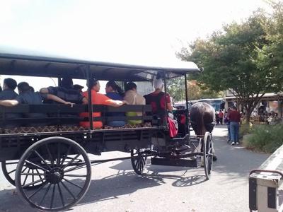 12 Injured When Carriage Overturns During Horse And Buggy Tour Near Intercourse Local News Lancasteronline Com