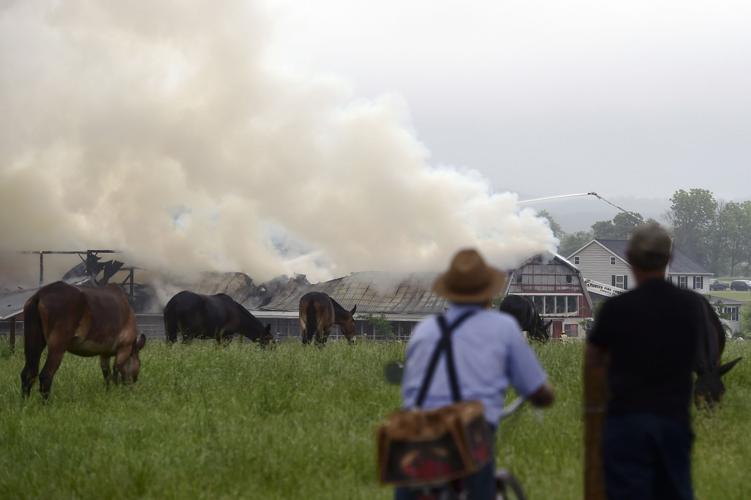 Clay Township dairy barn fire causes 350K damage Local News