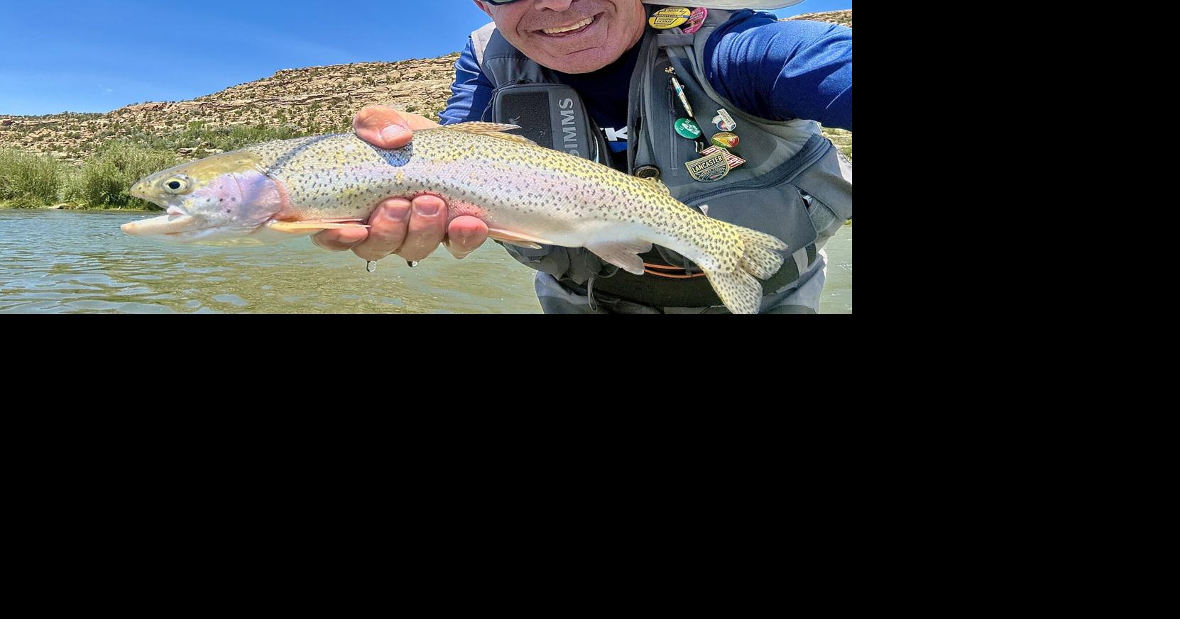 Fly fishing for trout in 'quality water' of San Juan River offers a welcome change from Pa. waters [column]