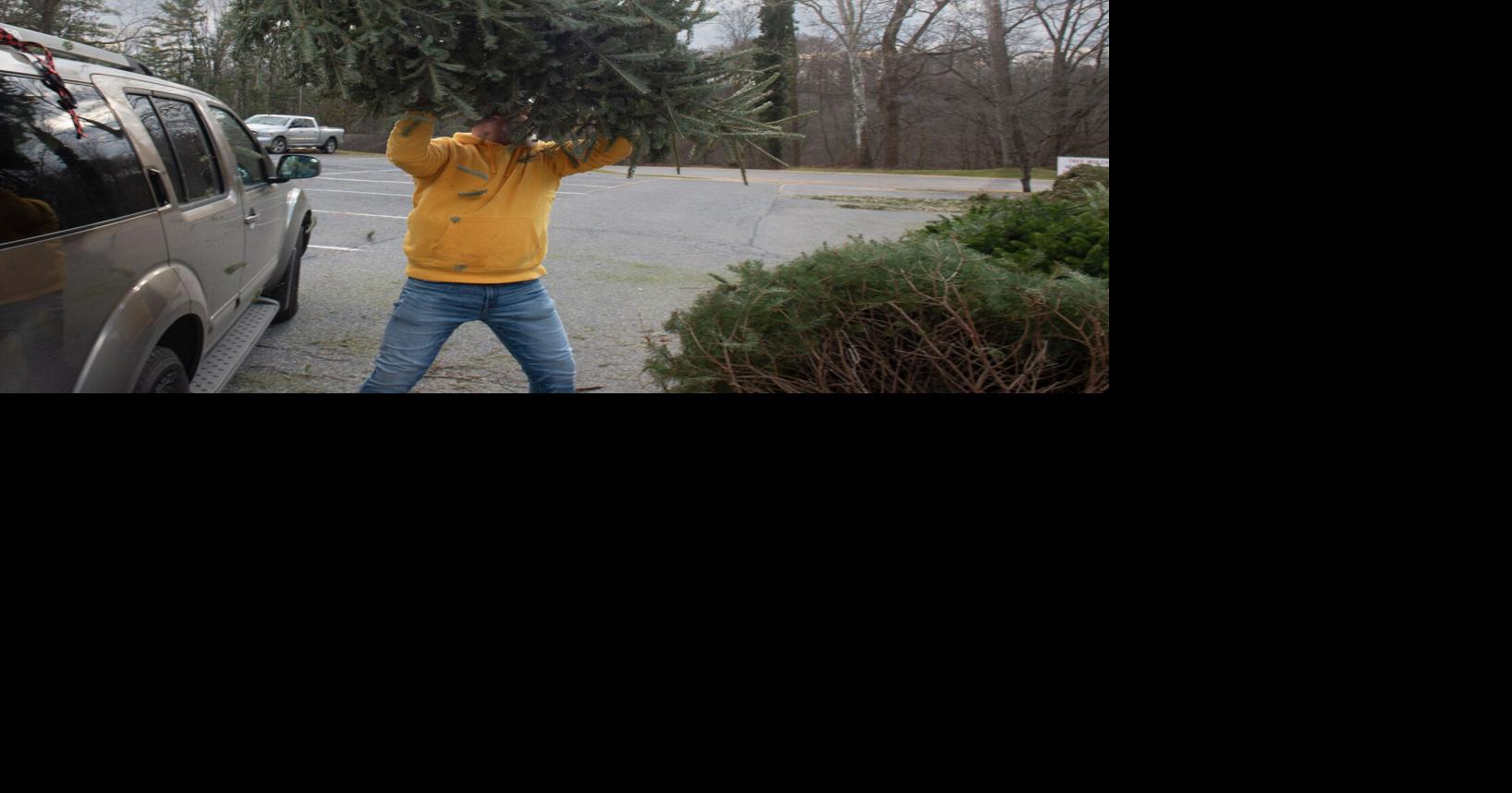 How to recycle your 2024 Christmas tree in Lancaster County | Home ...