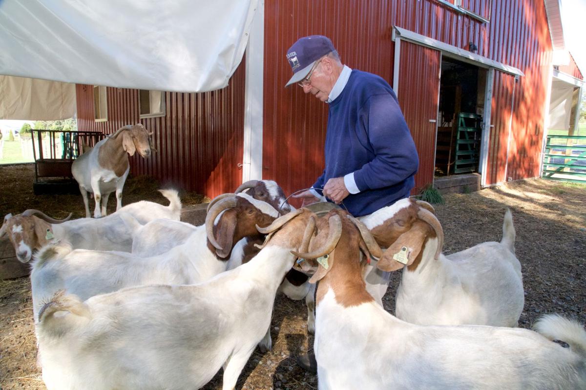 Goat farming is gaining popularity in Lancaster County
