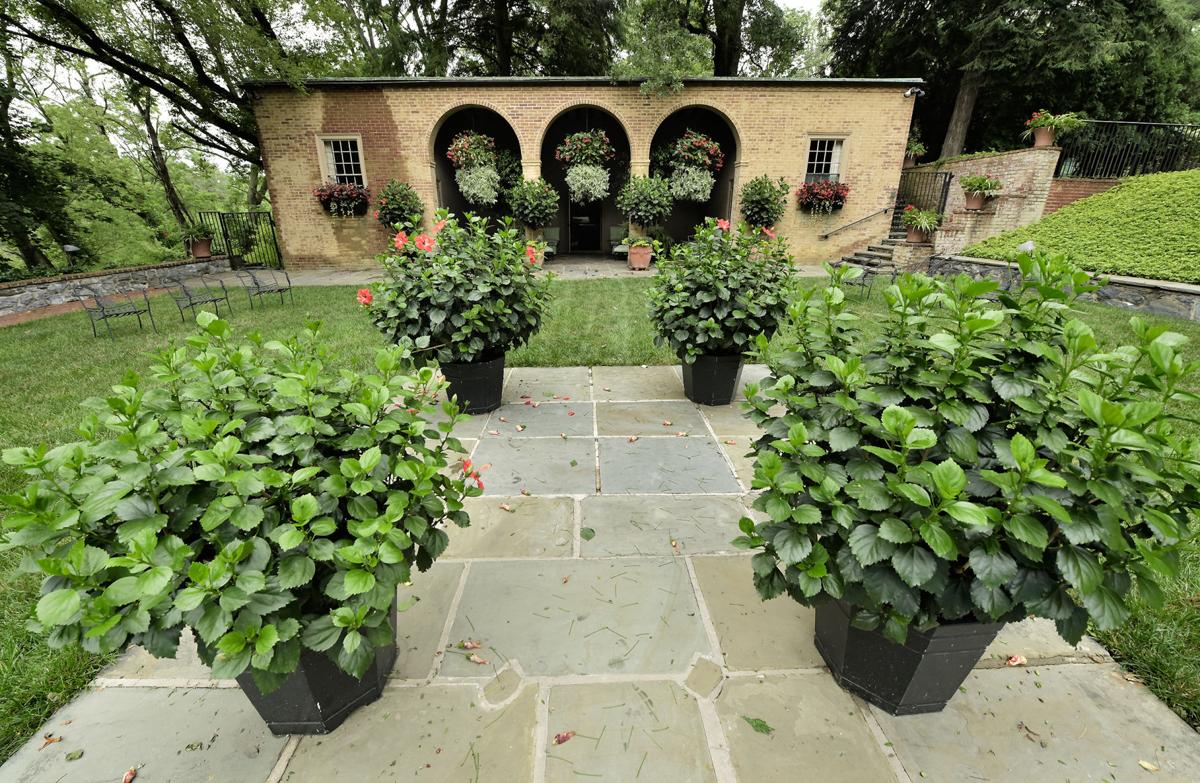 Conestoga House and Gardens is open; here's a virtual tour of the 5,000