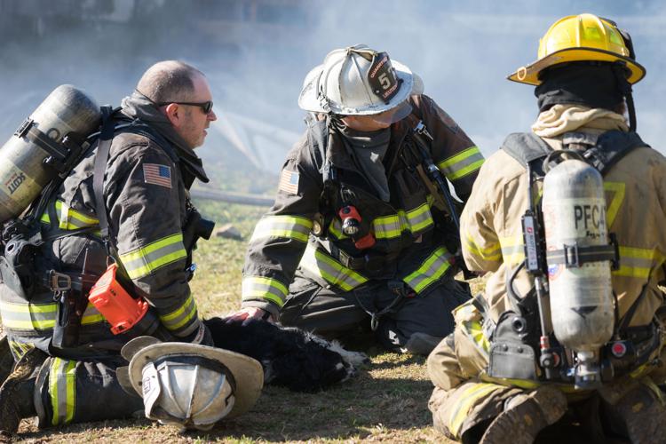 Dog revived with oxygen, 3 puppies saved from barn fire in Paradise ...