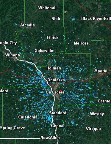 Festival will celebrate, not vilify, infamous swarms of Susquehanna mayflies | Local News