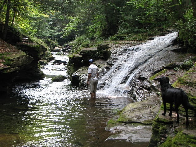 comerciante Reducción Correlación OUTDOORS: Rock Run, prettiest stream in Pennsylvania? | News |  lancasteronline.com
