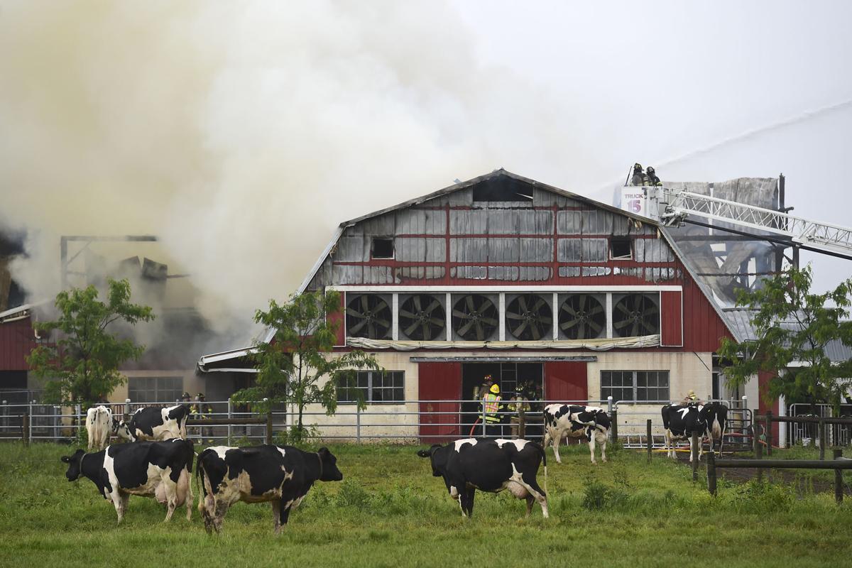 Clay Township dairy barn fire causes 350K damage Local News