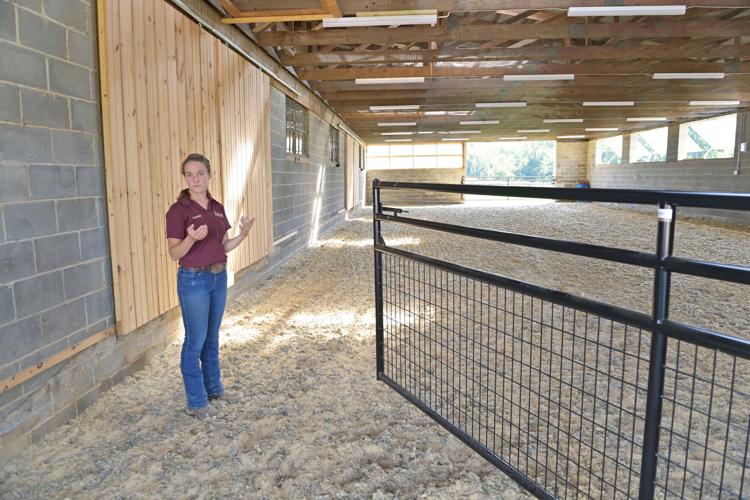 Bridlepath Equine Center 1.jpg