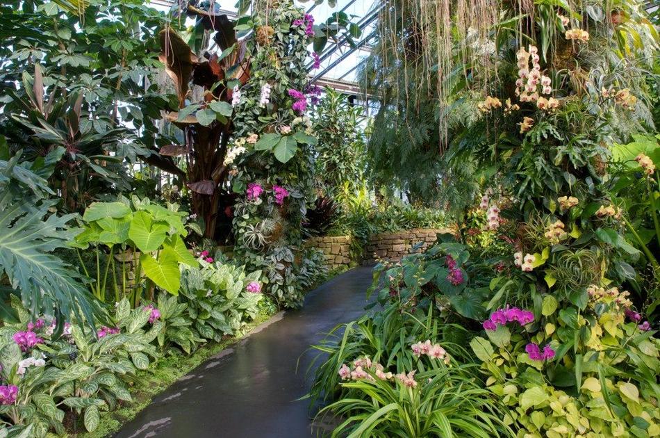Orchid Extravaganza The Lush Sensory Overload Opens At Longwood