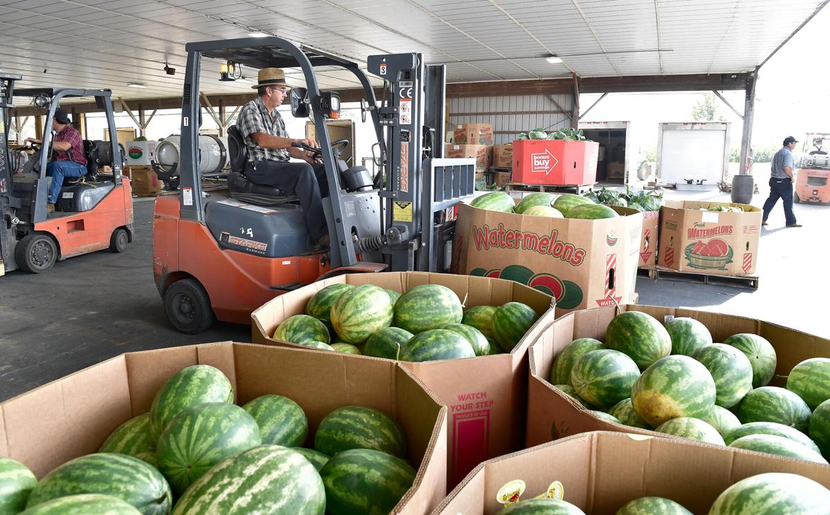 A day at Weaverland and Leola produce auctions [photo slideshow