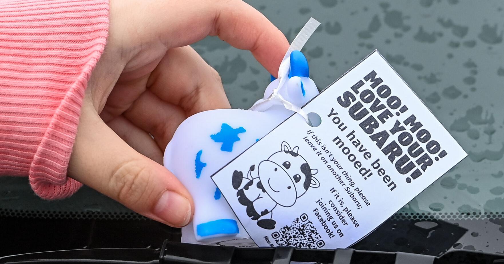Moo Moo Subaru: Why some enthusiasts are putting cow figurines on cars - Vimarsana News