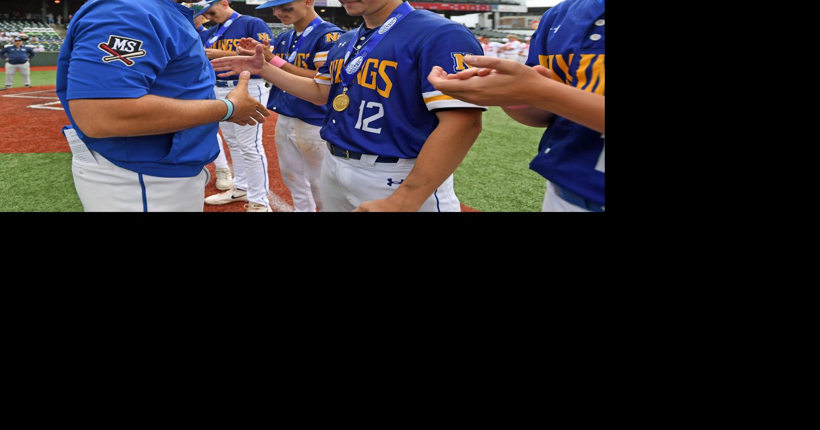 Lebanon County family's baseball tradition continues with Northern Lebanon's District 3 title
