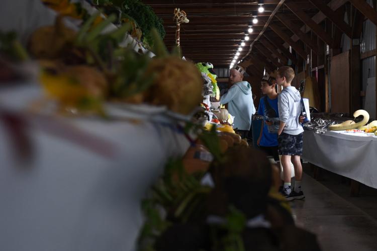 Families enjoy farm fun at West Lampeter Community Fair [photos
