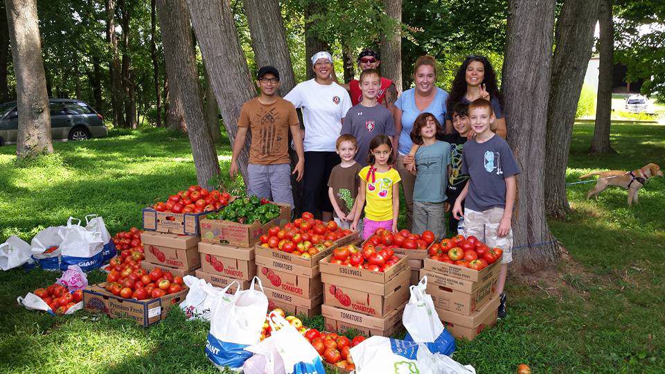 Wittel Farm Needs Help In Its Second Season To Grow Vegetables For