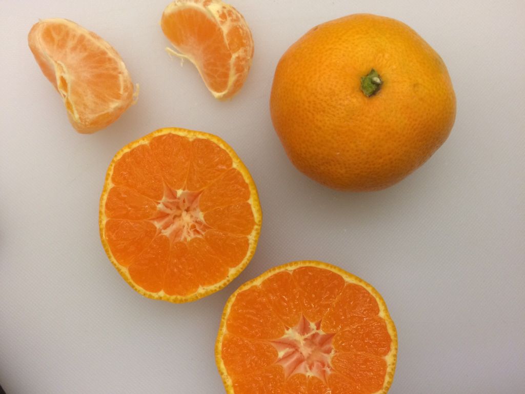 mandarin oranges clementines