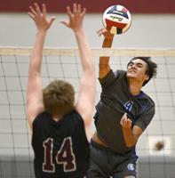 Here are your 2023 L-L League boys volleyball all-stars [list]