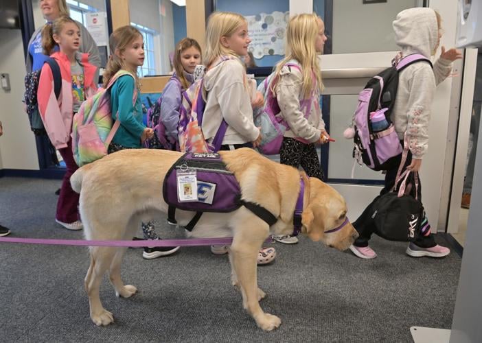 Rep. Brian Smith visits therapy dog at Bainbridge Elementary School ...