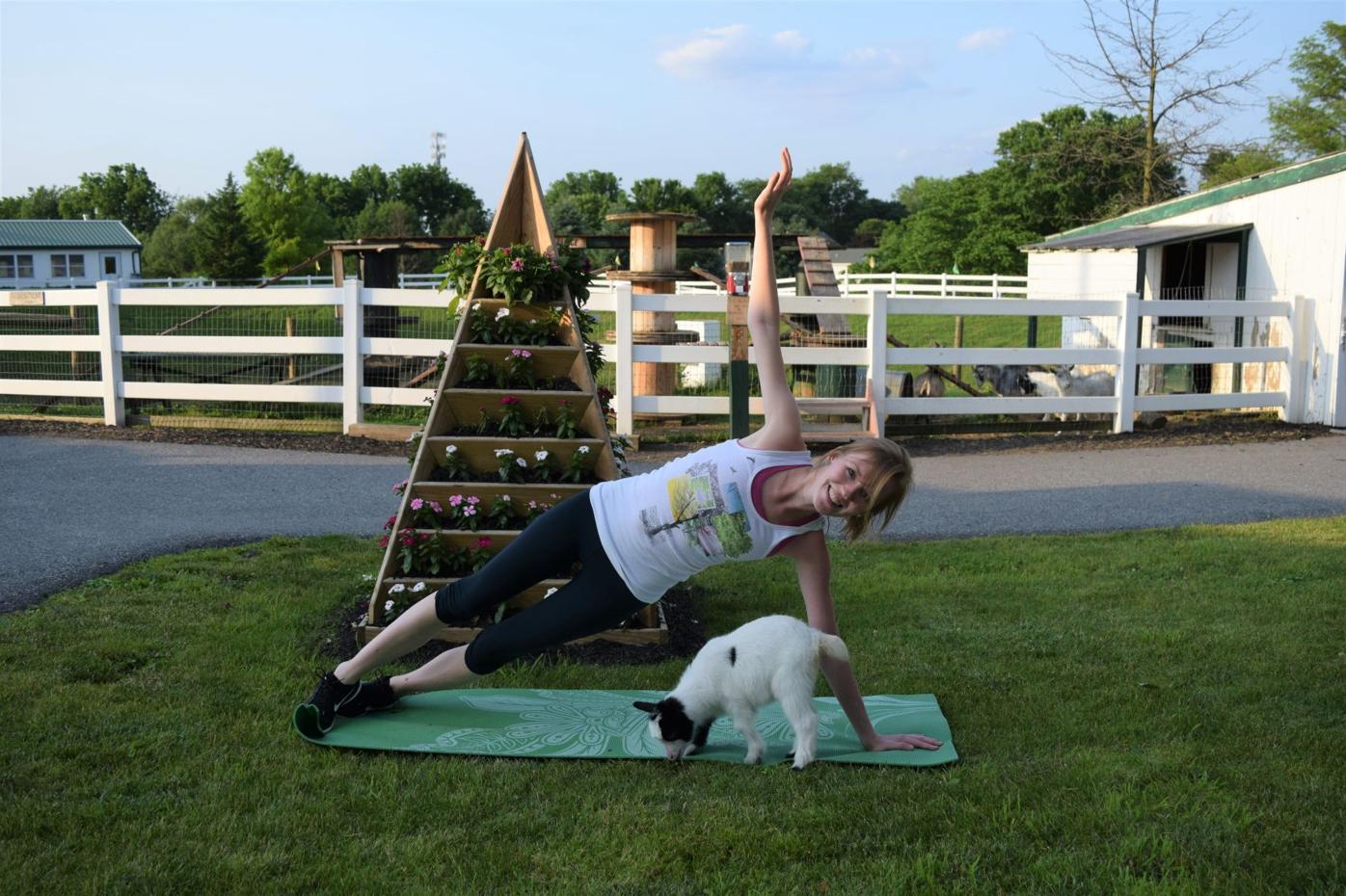 Goat Yoga Comes To Lancaster County Plus 9 More Types Of Yoga Classes Together Lancasteronline Com Although hot yoga holidays have only been gaining popularity in the last couple of years, they are intense, exciting, and definitely. goat yoga comes to lancaster county