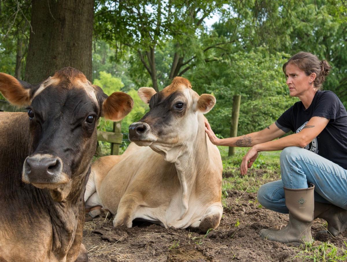 Lancaster Farm Sanctuary's moving to bigger pastures, with room to