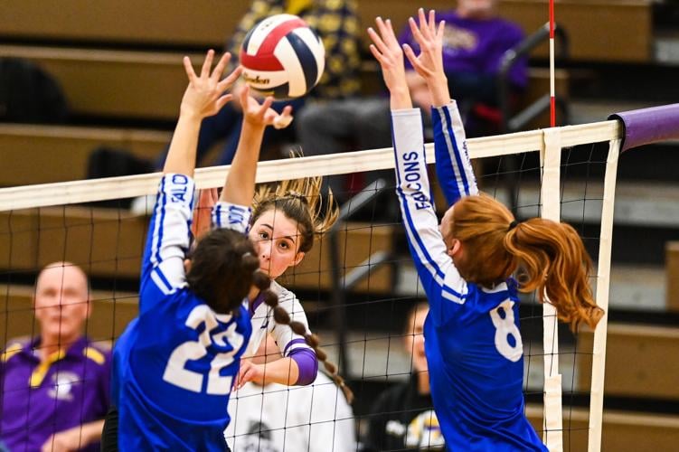 Ephrata vs. Lower Dauphin District 3 Class 4A girls volleyball