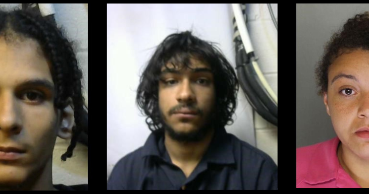 Trio stole pizza deliverywoman's car, led officers on pursuit while it was on fire: police | Local News - Vimarsana News