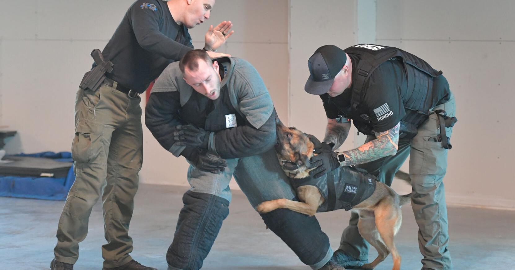 'I don't want to miss a beat': Zoltan's trainer continues to lead Lancaster K-9 unit, awaits new partner | Local News - Vimarsana News